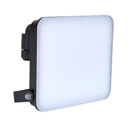 Brilagi - Proiector LED ELARA PRO LED/50W/230V IP65