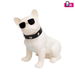 Boxa cu multimedia, catel