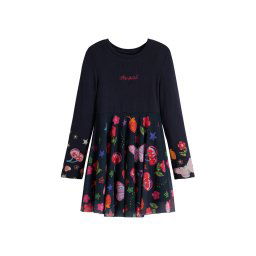 Desigual Rochie albastru / mai multe culori
