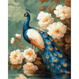 Set pictura pe numere, cu sasiu, Gradina paunului 40x50 cm