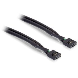 Delock Cable USB pinheader female / female 10 pin (industry)