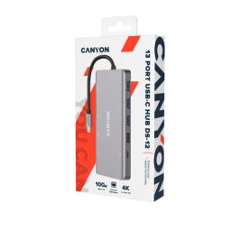 Docking Station CNS-TDS12, Gray
