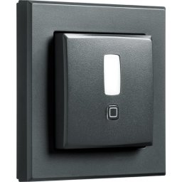 Homematic IP motion detector for 55 frames inside (HmIP-SMI55-A) (anthracite)