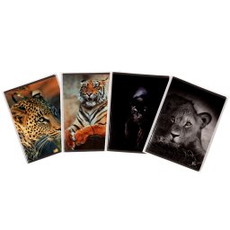 Caiet A5, 48 file, 80gsm, coperta carton 300gsm, design animals - matematica