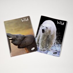 Caiet A5, 48 file, 80gsm, coperta carton 300gsm, design wild - matematica