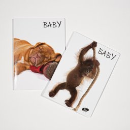 Caiet TIP1, 36 file, 80gsm, coperta carton 300gsm, design baby pets