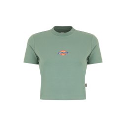 DICKIES Tricou 'Maple Valley' galben / verde / roșu