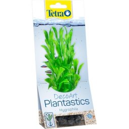 Tetra Hygrophila plantă ornamentală pentru acvariu (S | 13 x 6 cm)