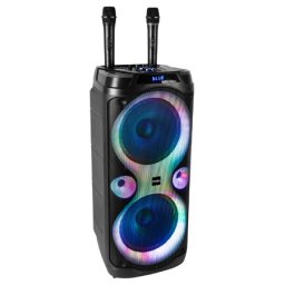 boxa portabila 2x10'/25cm 250w rms cu usb/aux