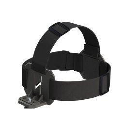 Goggle and head mount