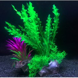 Alge marine și iarbă de mare pentru acvariu, cu frunze mici cu floare mică la bază 17 cm