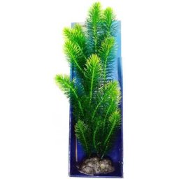 Plantă mare de acvariu Cabomba aquatica de culoare verde 45 cm