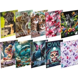 T-Creativ: Caiet dictando A5 fete - de la clasa a 4-a, diverse modele