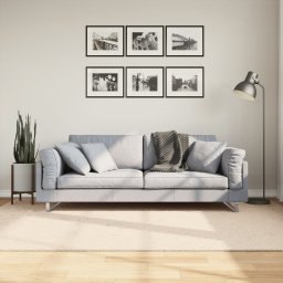 Covor HUARTE, fir scurt, moale si lavabil, bej, 160x230 cm GartenMobel Dekor