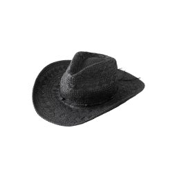 Next Pălărie negru