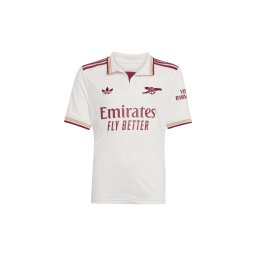 ADIDAS PERFORMANCE Tricou funcțional 'FC Arsenal 25/26' bej / roșu carmin / alb