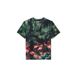 WE Fashion Tricou verde / verde pin / roz pal / roșu intens