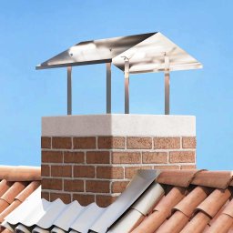Hood pentru cos de fum Argintiu 60 x 60 x 38 cm Oţel inoxidabil GartenMobel Dekor