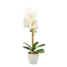 Decorațiune cu plantă artificială – Orhidee albă – 48 cm