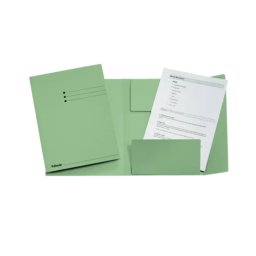 Dosar tip plic ESSELTE, carton, A4, verde deschis