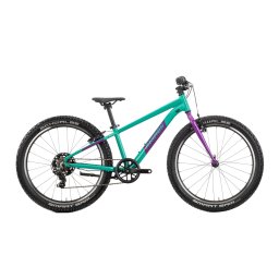 Bicicleta Copii Raymon Yanga 24 2025 - 24 Inch, Verde - TY200 Ultimate FactoryBikes