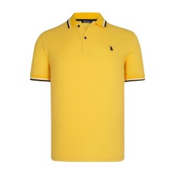 Tricou polo de barbati, dewberry