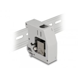 Adaptor pentru sina DIN cu modul Keystone RJ45 Cat.6A M-M, Delock 86959