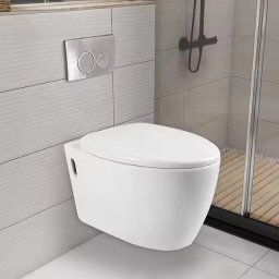 Vas de toaleta suspendat WC, cu capac SoftClose, LDPT-205