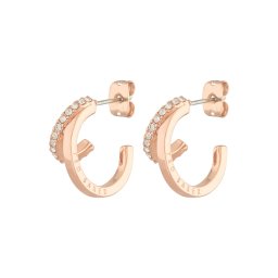 Ted Baker Cercei 'HELIAS' auriu - roz / transparent