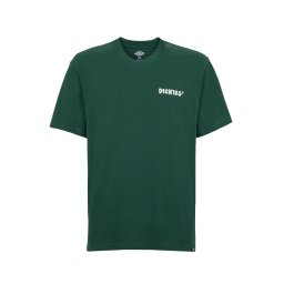 DICKIES Tricou 'GORDONSVILLE' verde / alb