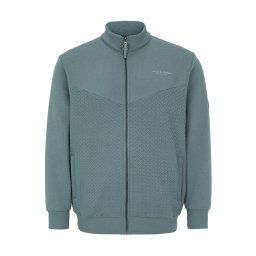 Jack & Jones Plus Hanorac 'JPRBLUFRANKIE' albastru porumbel