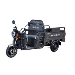Triciclu Electric Cargo ''Balaur Trcc1000''