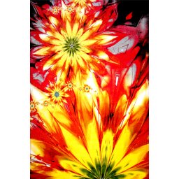 Covor Flower 11012-150, Marime 120 x 170 cm, Multicolor, Inaltime Fir 9 mm, Antialergic, Polipropilena, Living, Dormitor, Sufragerie, Birou