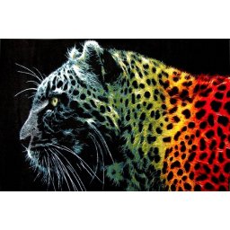 Covor Leopard Negru 11016-180, Marime 80 x 150 cm, Multicolor, Inaltime Fir 9 mm, Antialergic, Polipropilena, Living, Dormitor, Sufragerie, Birou