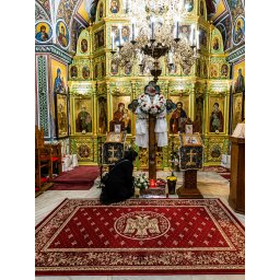 Covor Bisericesc Lotos 15077-210, Imprimeu cu Vultur Bicefal, Marime 200 x 400 cm, Grena, Rosu, Inaltime Fir 8 mm, Antialergic, Polipropilena, Manastire, Biserica, Altar, Naos, Pronaos, Capela