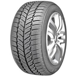 Roadx 205/55 R16 RxFrost WH01 91H