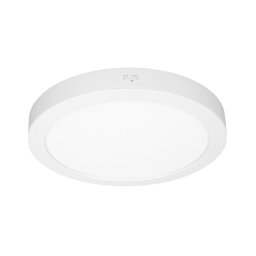 Solight WD244-W - Panou LED 2 în 1 24W/230V 3000/4000/6000K Ø 30 cm IP54 alb