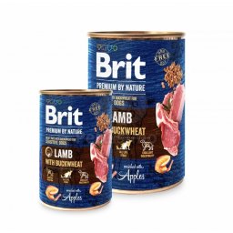 Brit Premium by Nature Adult Miel cu Hrişcă 24 x 800 g