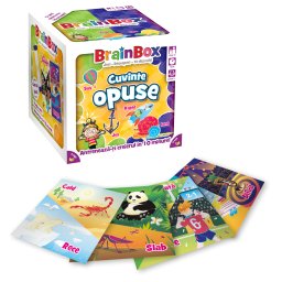 Joc brainbox - cuvinte opuse
