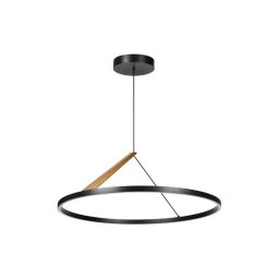 Rabalux 72352 - Lustră LED pe cablu RENARA LED/40W/230V 3000K