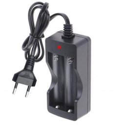 Incarcator Litiu-Ion Universal 0.5A 500mAh Cu 2 Canale