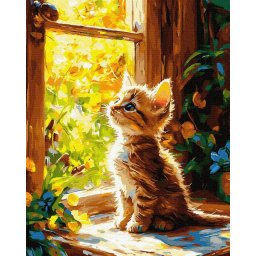 Set pictura pe numere, cu sasiu, Fereastra catre o lume mare, 40x50 cm