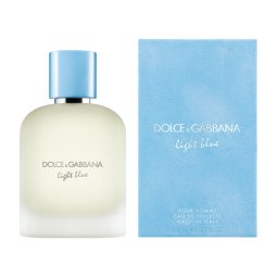 Dolce & Gabbana Light Blue pour Homme Apa de toaleta 100 ml (Barbati)