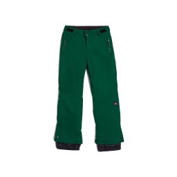 O'NEILL Pantaloni outdoor verde pin