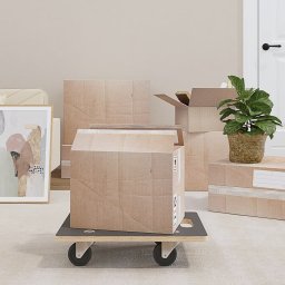 Gossi carucioare transport 2 buc dreptunghiulare 50x35x11,5 cm 250 kg