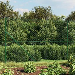 Gossi gard de plasa de sarma, verde, 1,4x10 m