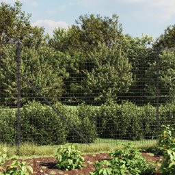 Gossi gard plasa de sarma cu bordura, antracit, 1,4x10 m