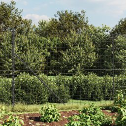 Gossi gard plasa de sarma cu bordura, antracit, 1,6x25 m