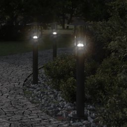 Gossi lampa exterioara de podea, negru, 60 cm, otel inoxidabil