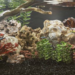 Gossi pietre dragon, 25 kg, culori mixte, 10-30 cm